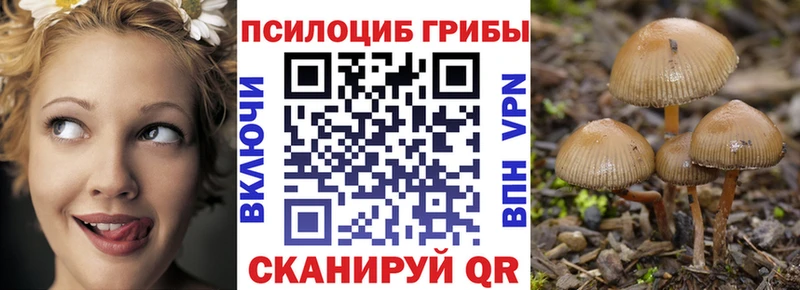 даркнет клад  Гай  Псилоцибиновые грибы мухоморы  купить   мега ONION 